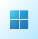 Windows 11